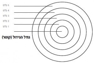 גודל הגידול: נמדד במילימטרים או בסנטימטרים - אונקוטסט